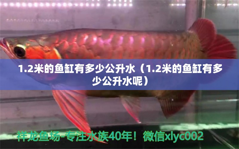 1.2米的魚缸有多少公升水（1.2米的魚缸有多少公升水呢）