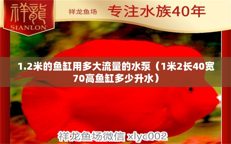 1.2米的魚缸用多大流量的水泵（1米2長40寬70高魚缸多少升水）