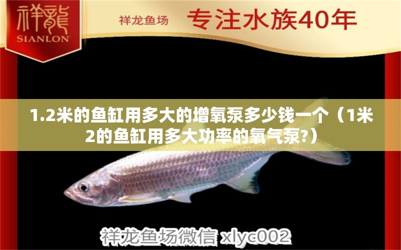 1.2米的魚缸用多大的增氧泵多少錢一個(gè)（1米2的魚缸用多大功率的氧氣泵?） 其他品牌魚缸