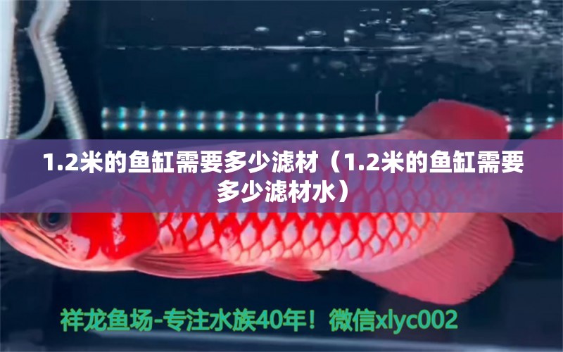 1.2米的魚(yú)缸需要多少濾材（1.2米的魚(yú)缸需要多少濾材水）