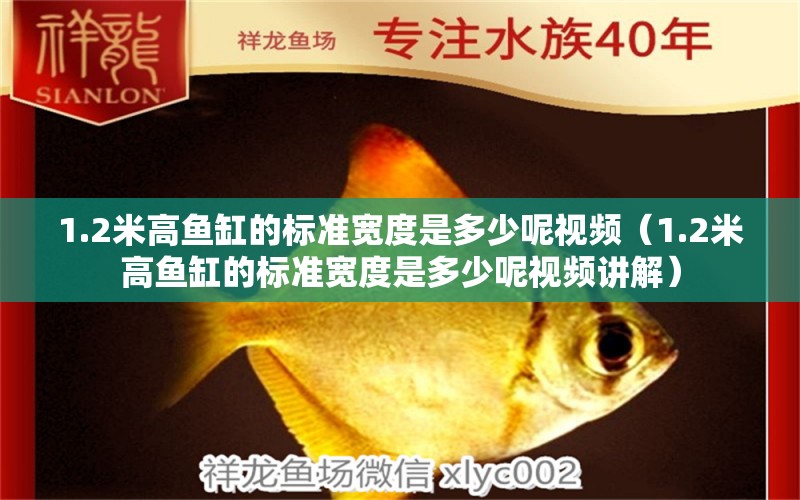 1.2米高魚缸的標準寬度是多少呢視頻（1.2米高魚缸的標準寬度是多少呢視頻講解）