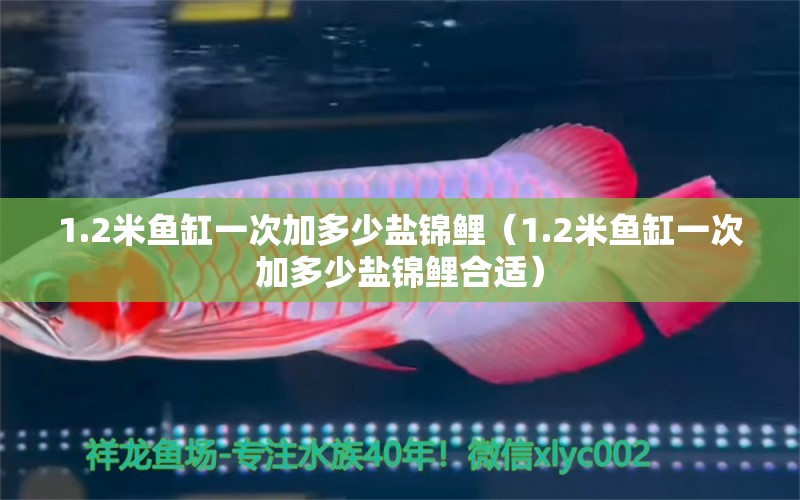 1.2米魚缸一次加多少鹽錦鯉（1.2米魚缸一次加多少鹽錦鯉合適） 魚缸百科