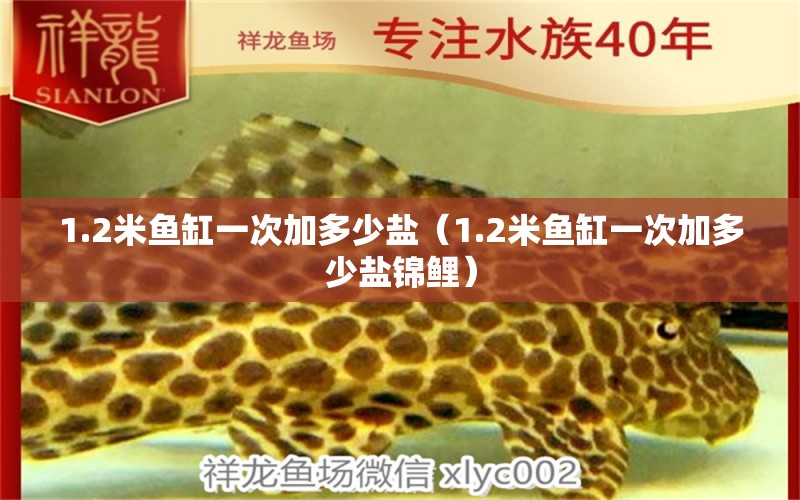 1.2米魚缸一次加多少鹽（1.2米魚缸一次加多少鹽錦鯉） 魚缸百科