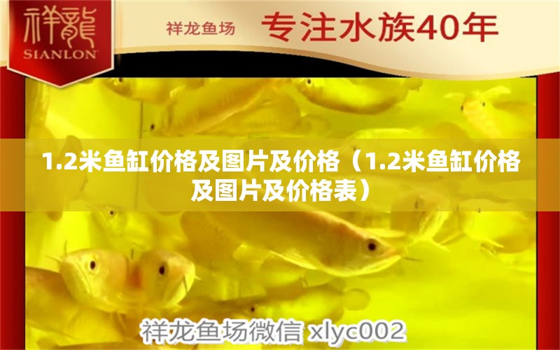 1.2米魚缸價格及圖片及價格（1.2米魚缸價格及圖片及價格表）