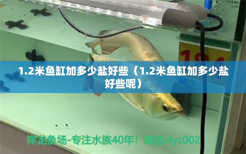 1.2米魚缸加多少鹽好些（1.2米魚缸加多少鹽好些呢）