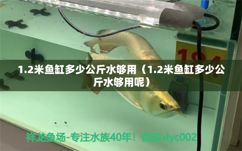 1.2米魚缸多少公斤水夠用（1.2米魚缸多少公斤水夠用呢）