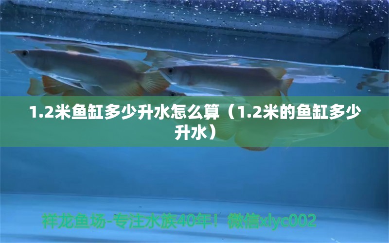 1.2米魚缸多少升水怎么算（1.2米的魚缸多少升水） 魚缸百科