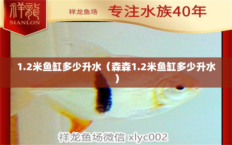 1.2米魚缸多少升水（森森1.2米魚缸多少升水）