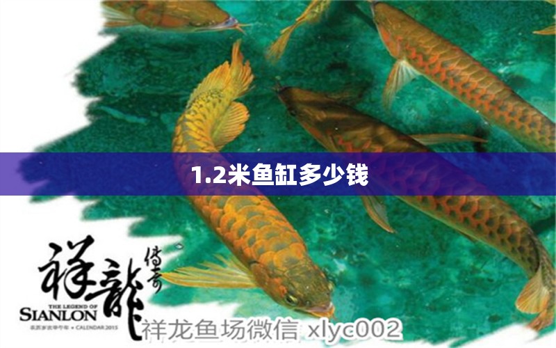 1.2米魚缸多少錢