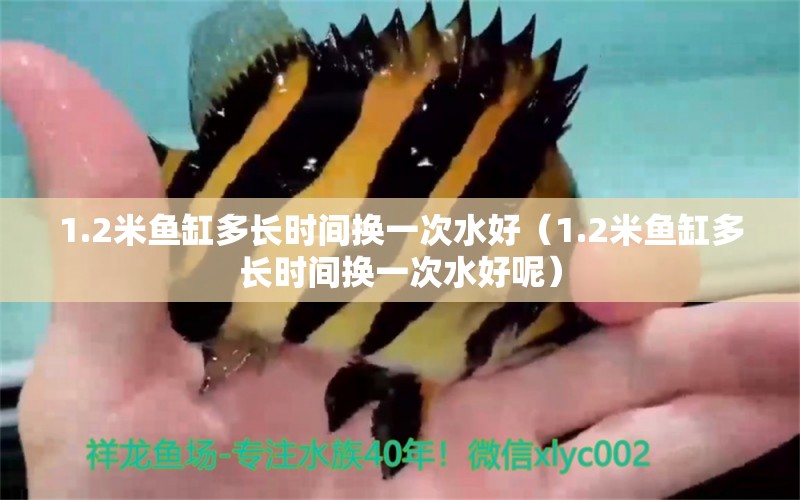 1.2米魚(yú)缸多長(zhǎng)時(shí)間換一次水好（1.2米魚(yú)缸多長(zhǎng)時(shí)間換一次水好呢）