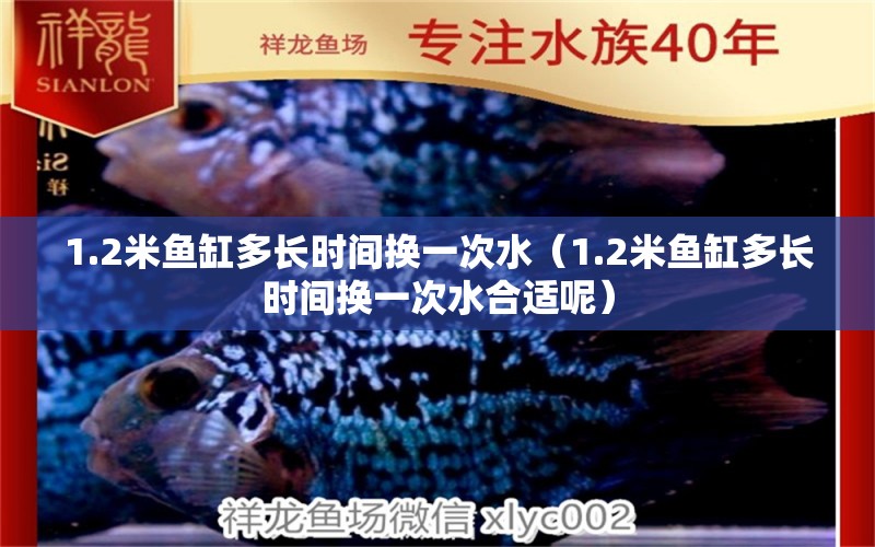 1.2米魚缸多長時(shí)間換一次水（1.2米魚缸多長時(shí)間換一次水合適呢） 魚缸百科