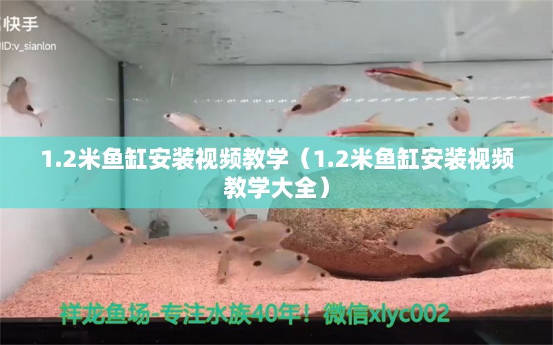 1.2米魚缸安裝視頻教學（1.2米魚缸安裝視頻教學大全）