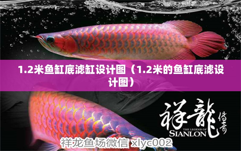 1.2米魚缸底濾缸設(shè)計(jì)圖（1.2米的魚缸底濾設(shè)計(jì)圖）