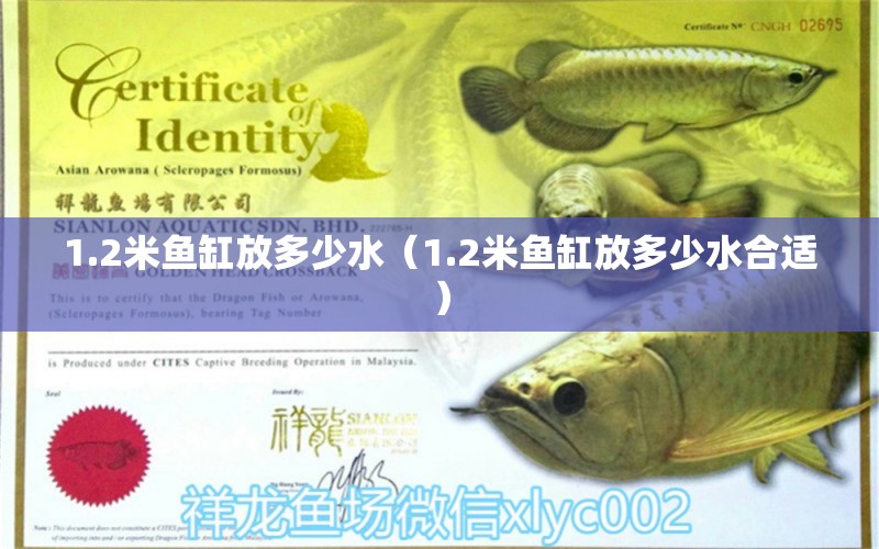 1.2米魚缸放多少水（1.2米魚缸放多少水合適） 其他品牌魚缸