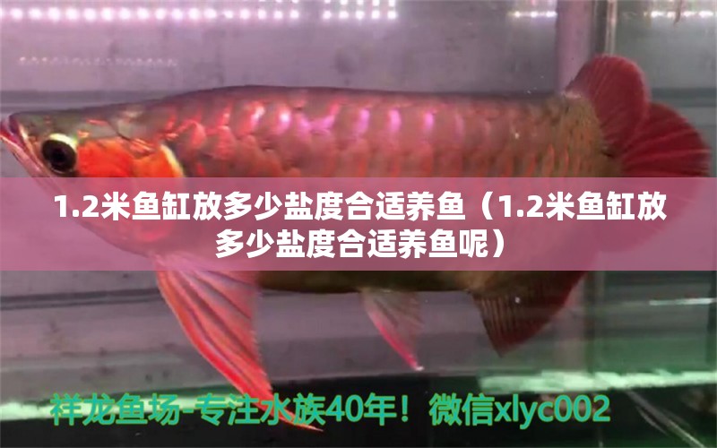 1.2米魚缸放多少鹽度合適養(yǎng)魚（1.2米魚缸放多少鹽度合適養(yǎng)魚呢） 其他品牌魚缸