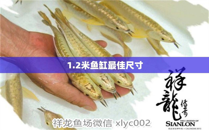 1.2米魚缸最佳尺寸