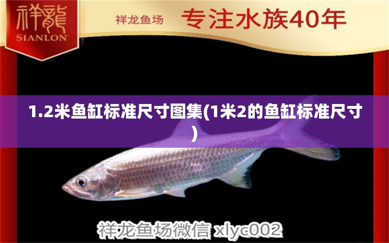 1.2米魚缸標(biāo)準(zhǔn)尺寸圖集(1米2的魚缸標(biāo)準(zhǔn)尺寸)