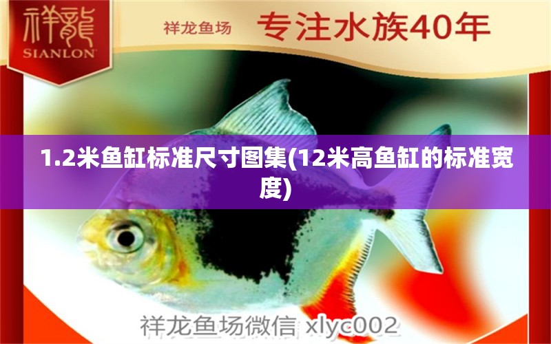 1.2米魚缸標(biāo)準(zhǔn)尺寸圖集(12米高魚缸的標(biāo)準(zhǔn)寬度)