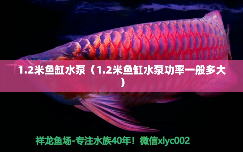 1.2米魚缸水泵（1.2米魚缸水泵功率一般多大） 魚缸水泵