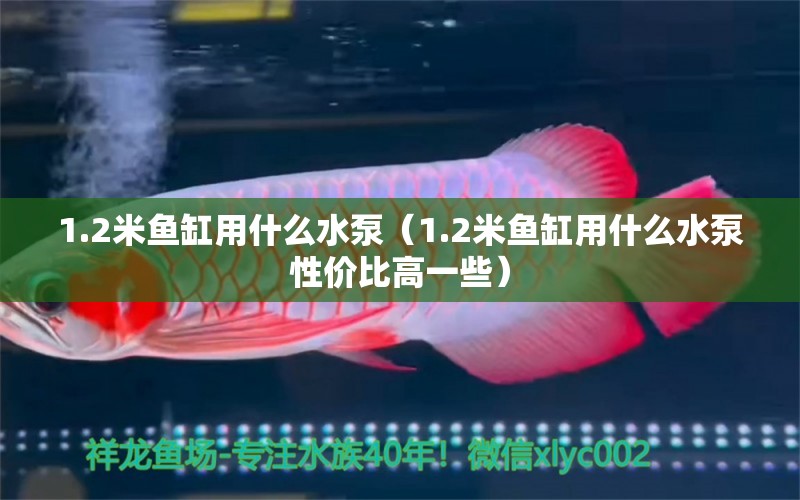 1.2米魚(yú)缸用什么水泵（1.2米魚(yú)缸用什么水泵性?xún)r(jià)比高一些） 其他品牌魚(yú)缸