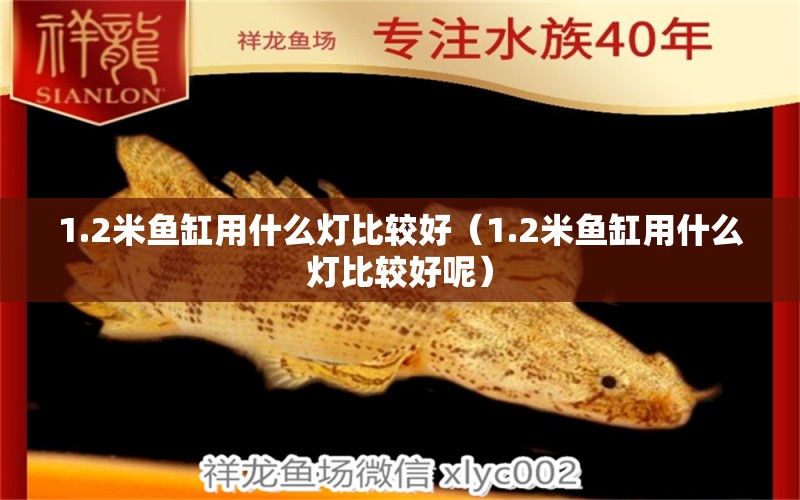 1.2米魚缸用什么燈比較好（1.2米魚缸用什么燈比較好呢）