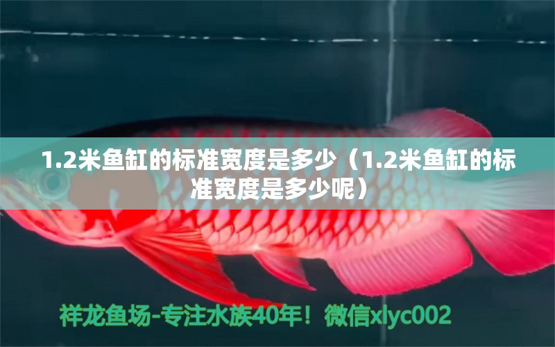 1.2米魚缸的標(biāo)準(zhǔn)寬度是多少（1.2米魚缸的標(biāo)準(zhǔn)寬度是多少呢） 其他品牌魚缸