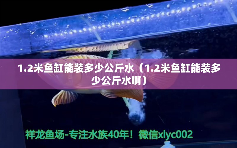 1.2米魚(yú)缸能裝多少公斤水（1.2米魚(yú)缸能裝多少公斤水?。?其他品牌魚(yú)缸