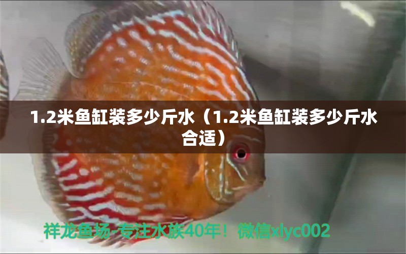 1.2米魚缸裝多少斤水（1.2米魚缸裝多少斤水合適）