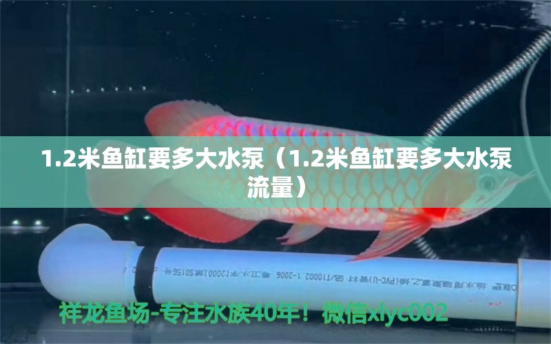 1.2米魚缸要多大水泵（1.2米魚缸要多大水泵流量） 其他品牌魚缸