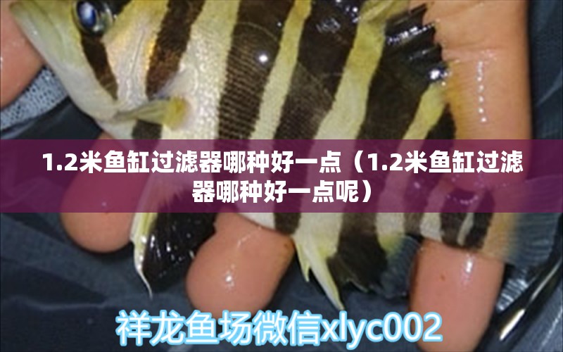 1.2米魚缸過濾器哪種好一點(diǎn)（1.2米魚缸過濾器哪種好一點(diǎn)呢） 其他品牌魚缸