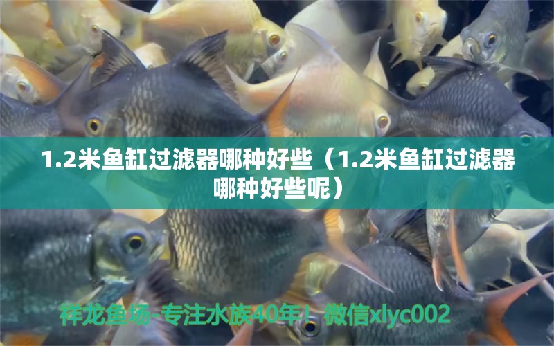 1.2米魚缸過濾器哪種好些（1.2米魚缸過濾器哪種好些呢）