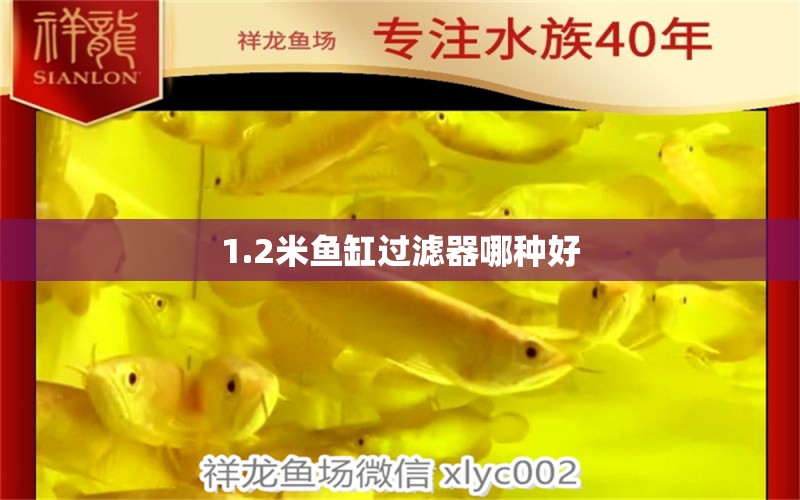 1.2米魚缸過濾器哪種好