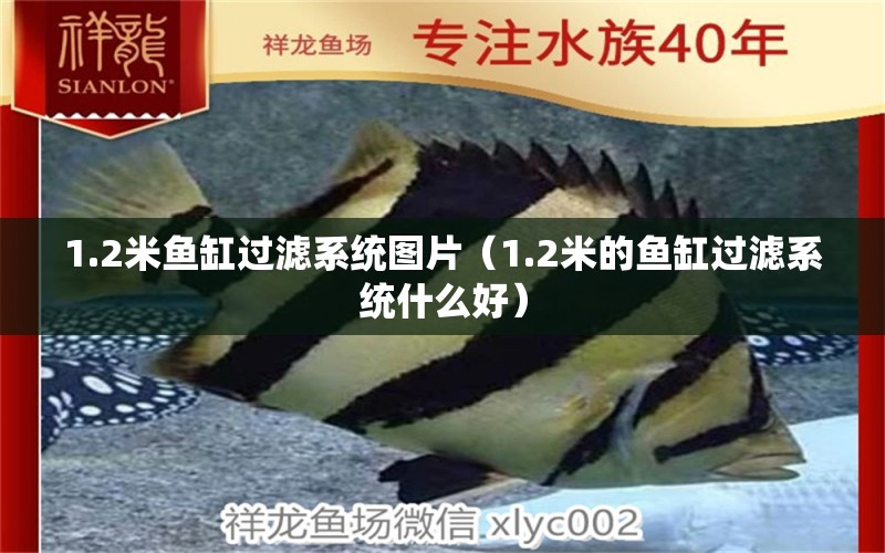 1.2米魚缸過(guò)濾系統(tǒng)圖片（1.2米的魚缸過(guò)濾系統(tǒng)什么好）