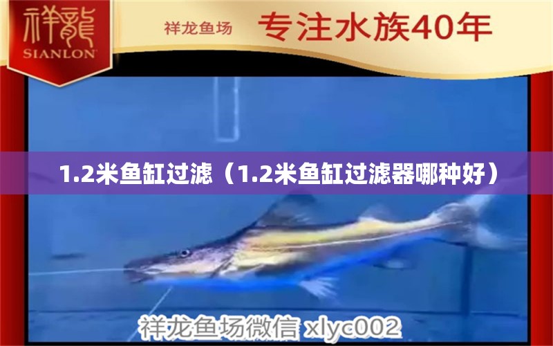 1.2米魚缸過濾（1.2米魚缸過濾器哪種好）