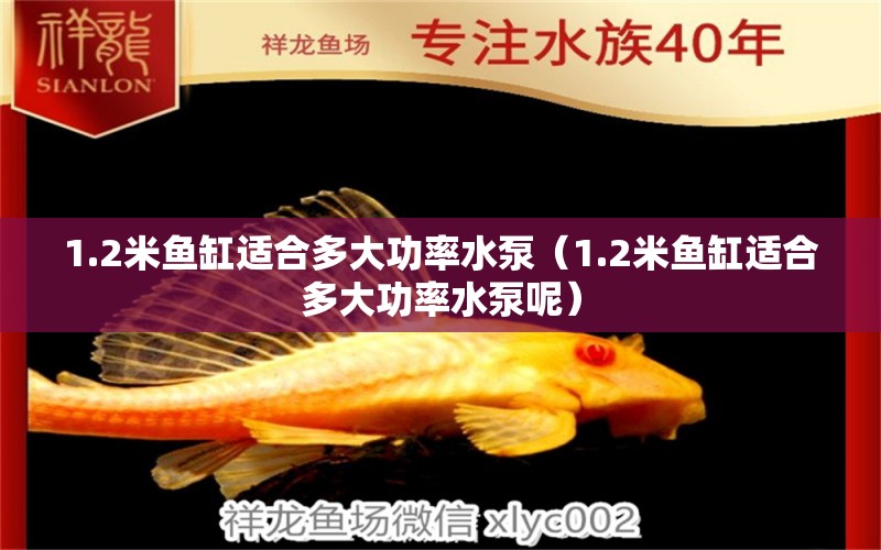 1.2米魚缸適合多大功率水泵（1.2米魚缸適合多大功率水泵呢）