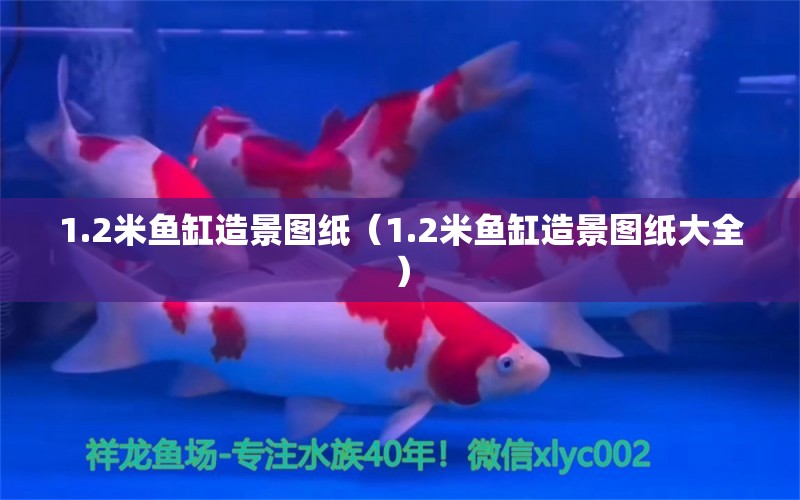 1.2米魚(yú)缸造景圖紙（1.2米魚(yú)缸造景圖紙大全） 祥龍水族醫(yī)院