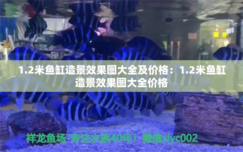 1.2米魚缸造景效果圖大全及價格：1.2米魚缸造景效果圖大全價格