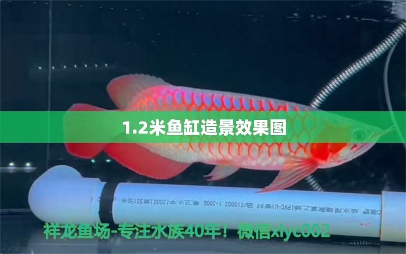 1.2米魚缸造景效果圖