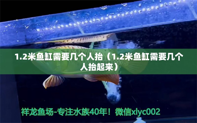 1.2米魚缸需要幾個人抬（1.2米魚缸需要幾個人抬起來） 魚缸百科