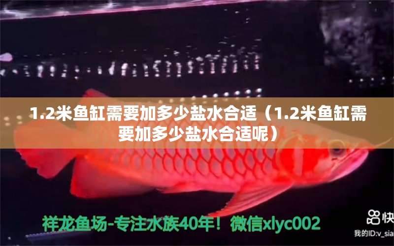 1.2米魚缸需要加多少鹽水合適（1.2米魚缸需要加多少鹽水合適呢） 其他品牌魚缸