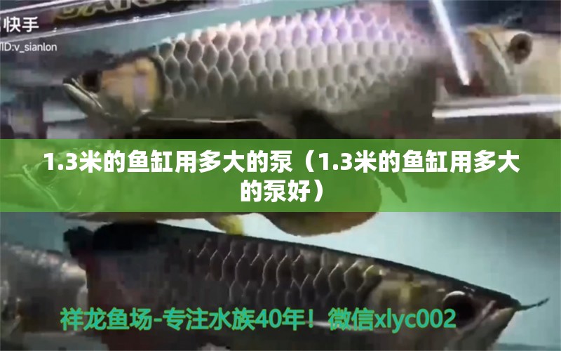 1.3米的魚缸用多大的泵（1.3米的魚缸用多大的泵好）