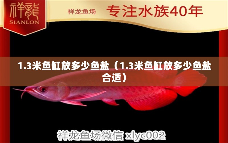 1.3米魚缸放多少魚鹽（1.3米魚缸放多少魚鹽合適）