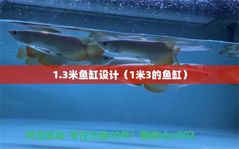 1.3米魚缸設(shè)計（1米3的魚缸）