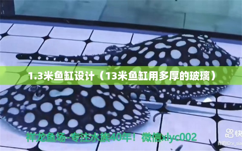 1.3米魚缸設(shè)計（13米魚缸用多厚的玻璃）