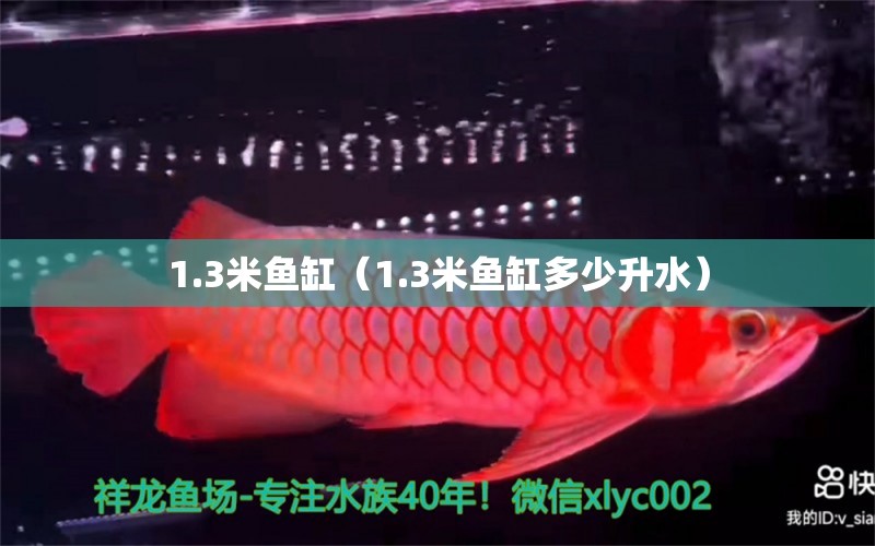 1.3米魚缸（1.3米魚缸多少升水）