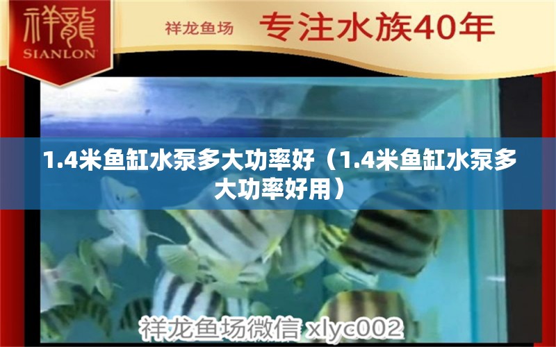 1.4米魚(yú)缸水泵多大功率好（1.4米魚(yú)缸水泵多大功率好用）