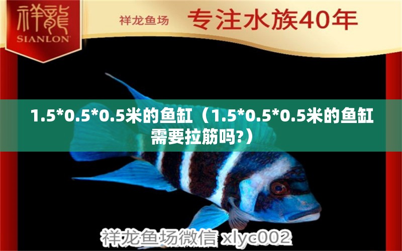 1.5*0.5*0.5米的魚(yú)缸（1.5*0.5*0.5米的魚(yú)缸需要拉筋嗎?） 其他品牌魚(yú)缸