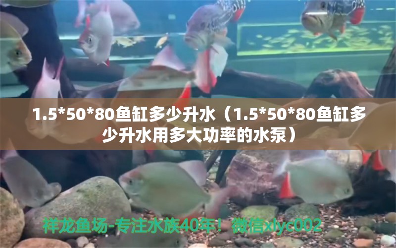 1.5*50*80魚(yú)缸多少升水（1.5*50*80魚(yú)缸多少升水用多大功率的水泵） 其他品牌魚(yú)缸