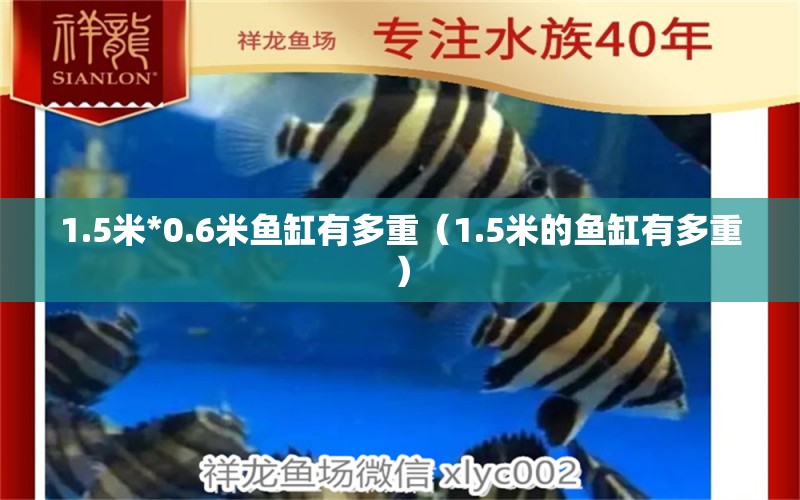 1.5米*0.6米魚缸有多重（1.5米的魚缸有多重）