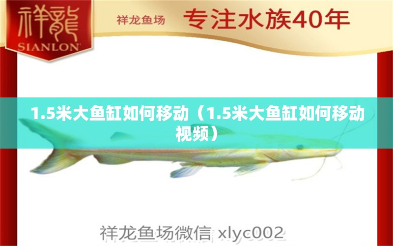 1.5米大魚缸如何移動（1.5米大魚缸如何移動視頻）